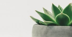 Stay minimal: la #home della generazione Apple addicted