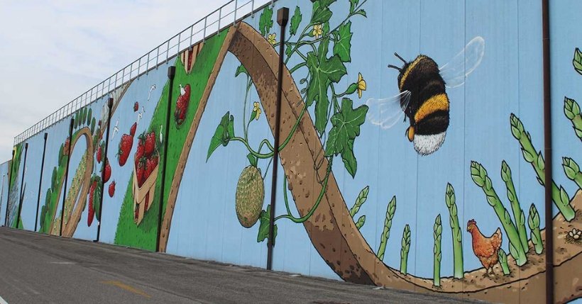CIBO: Intervista allo street artist italiano che copre le svastiche con le angurie!