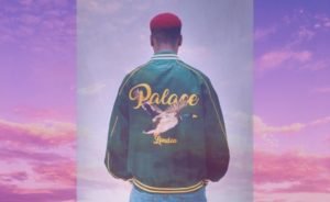 Palace: presentato il nuovo lookbook Summer 2021